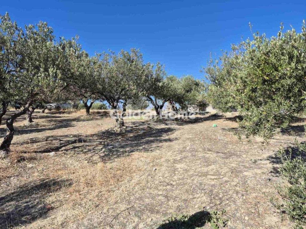 εικόνα αγγελίας