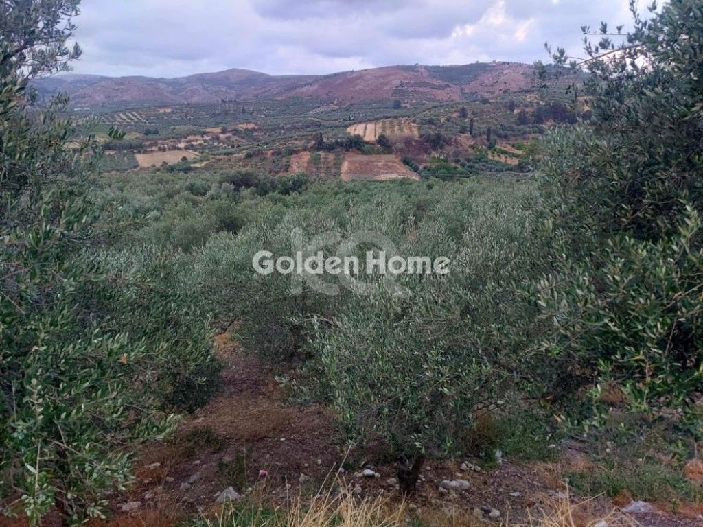 εικόνα αγγελίας