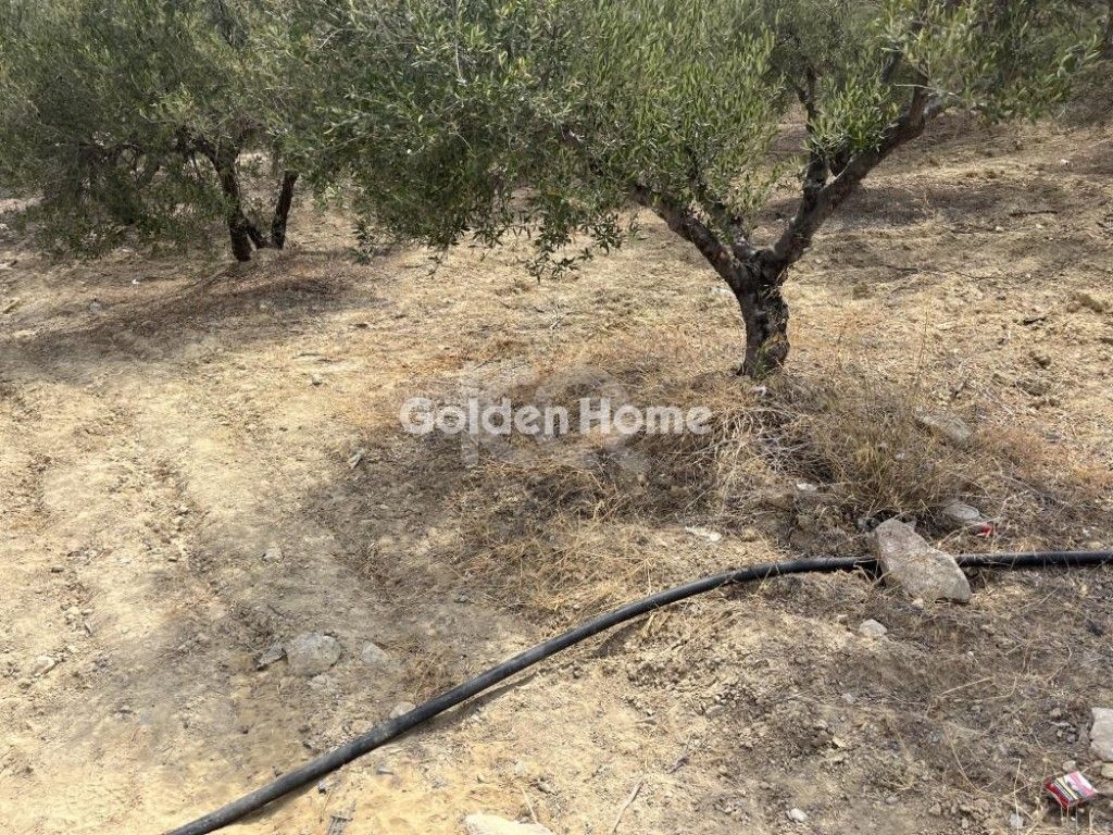 εικόνα αγγελίας