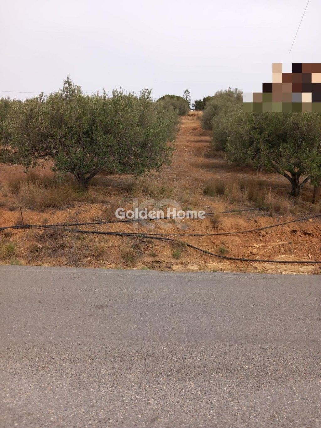 εικόνα αγγελίας