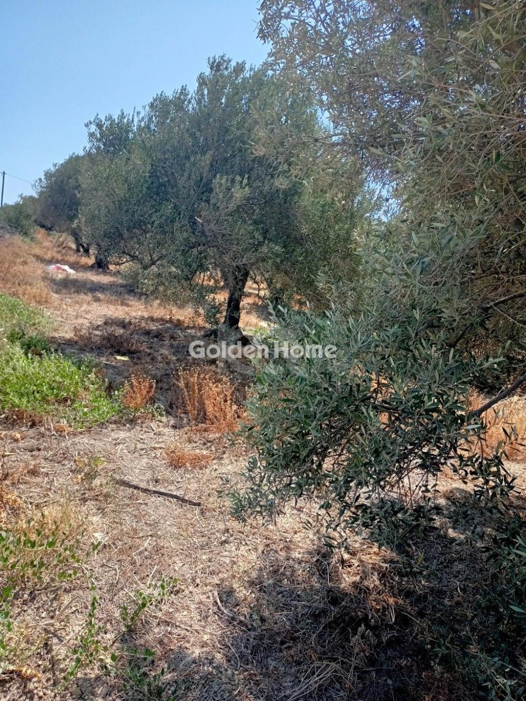 εικόνα αγγελίας