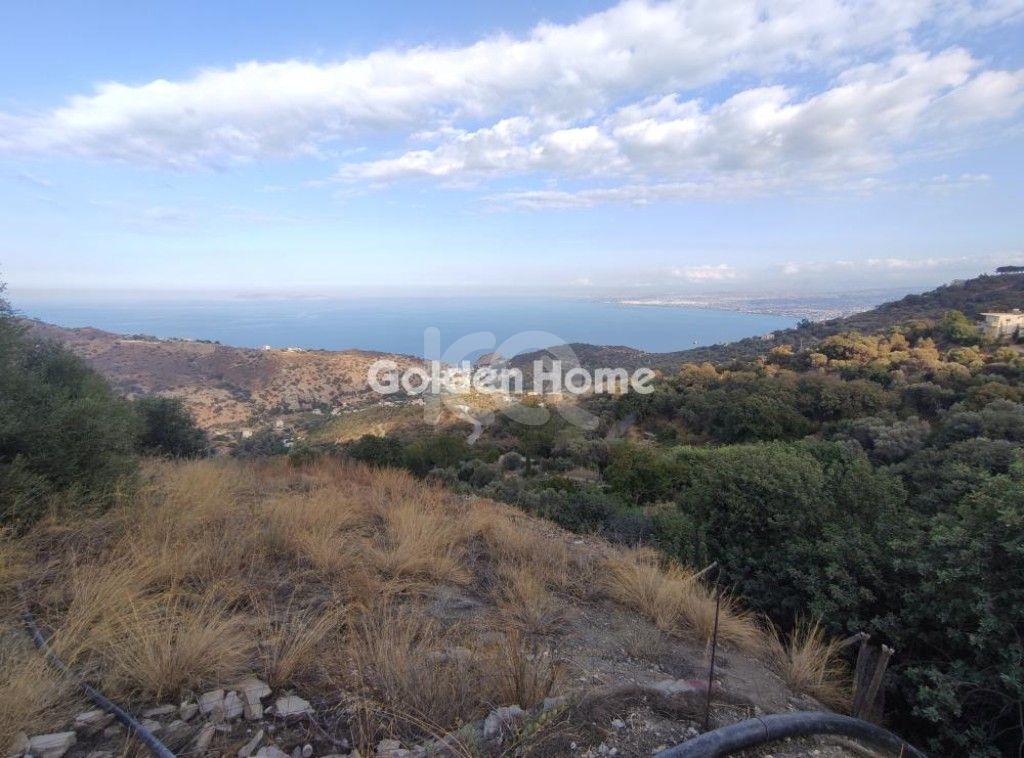 εικόνα αγγελίας