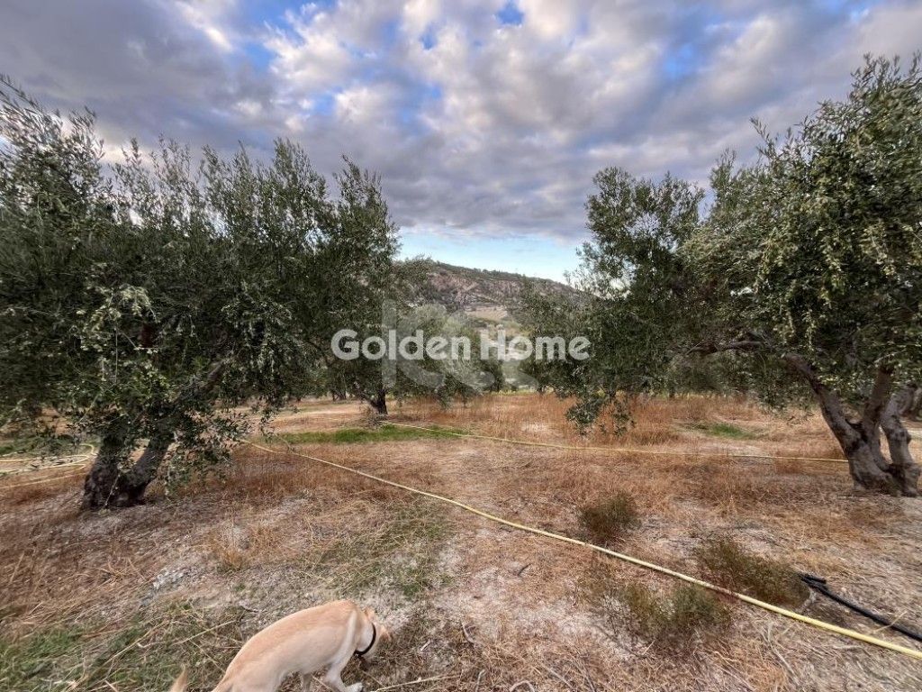 εικόνα αγγελίας