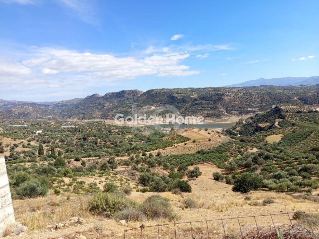 εικόνα αγγελίας