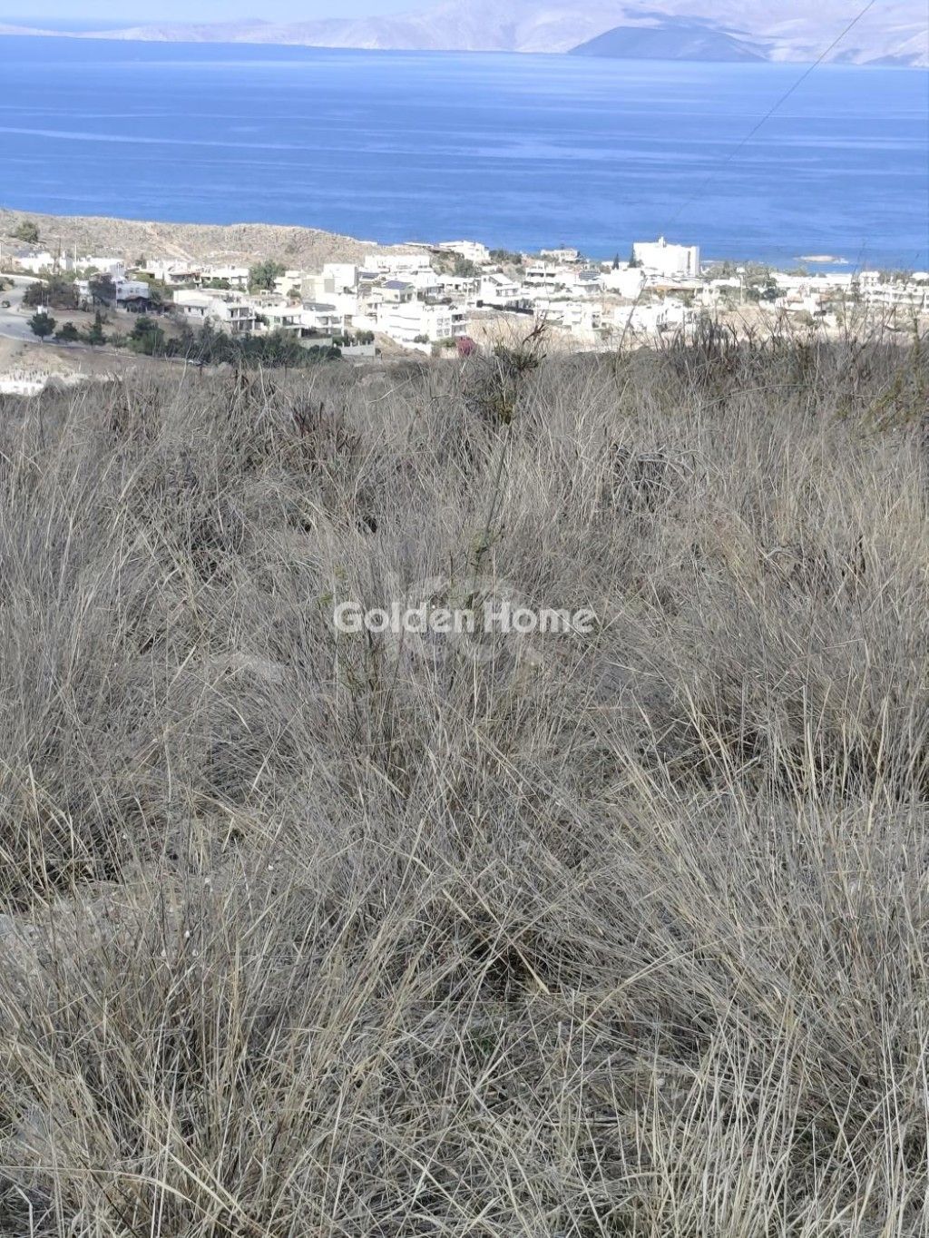 εικόνα αγγελίας