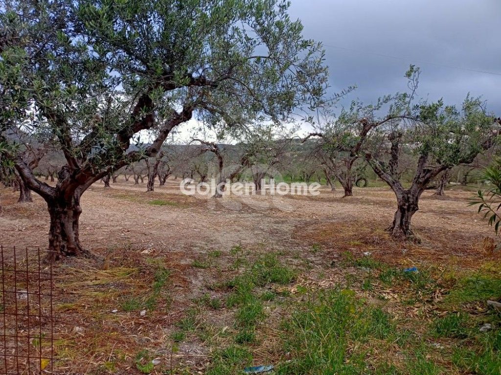 εικόνα αγγελίας