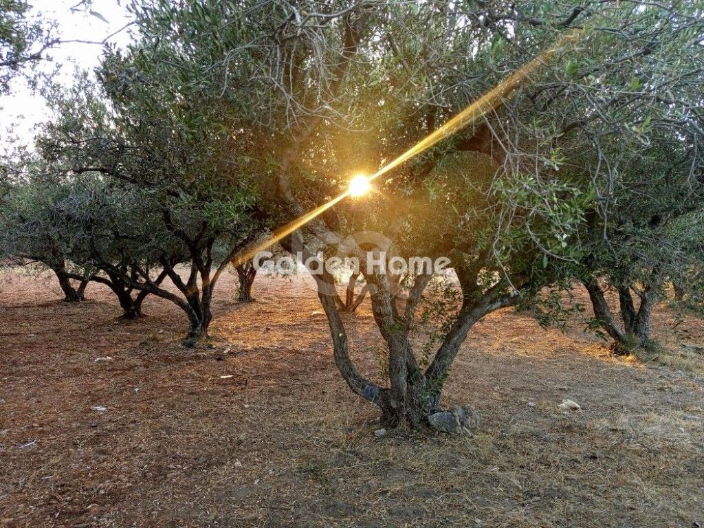 εικόνα αγγελίας