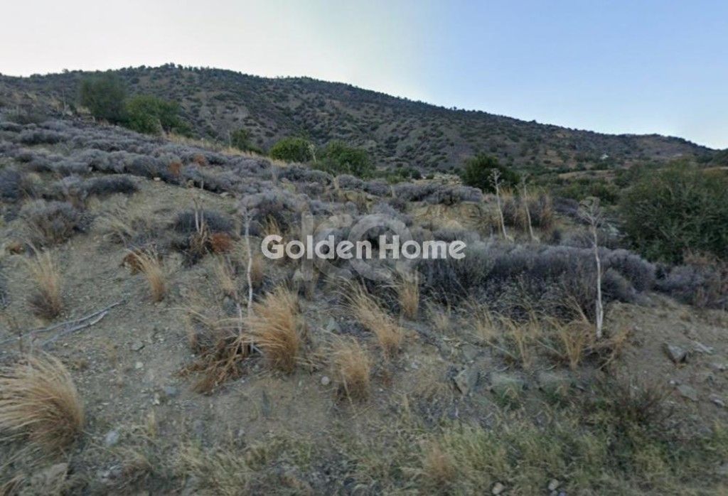 εικόνα αγγελίας