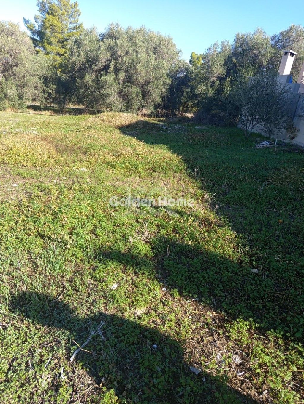 εικόνα αγγελίας