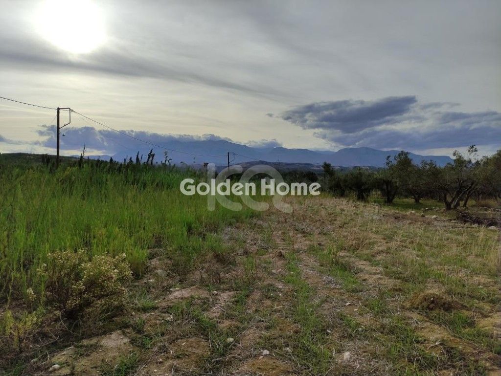 εικόνα αγγελίας