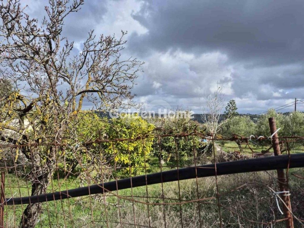 εικόνα αγγελίας