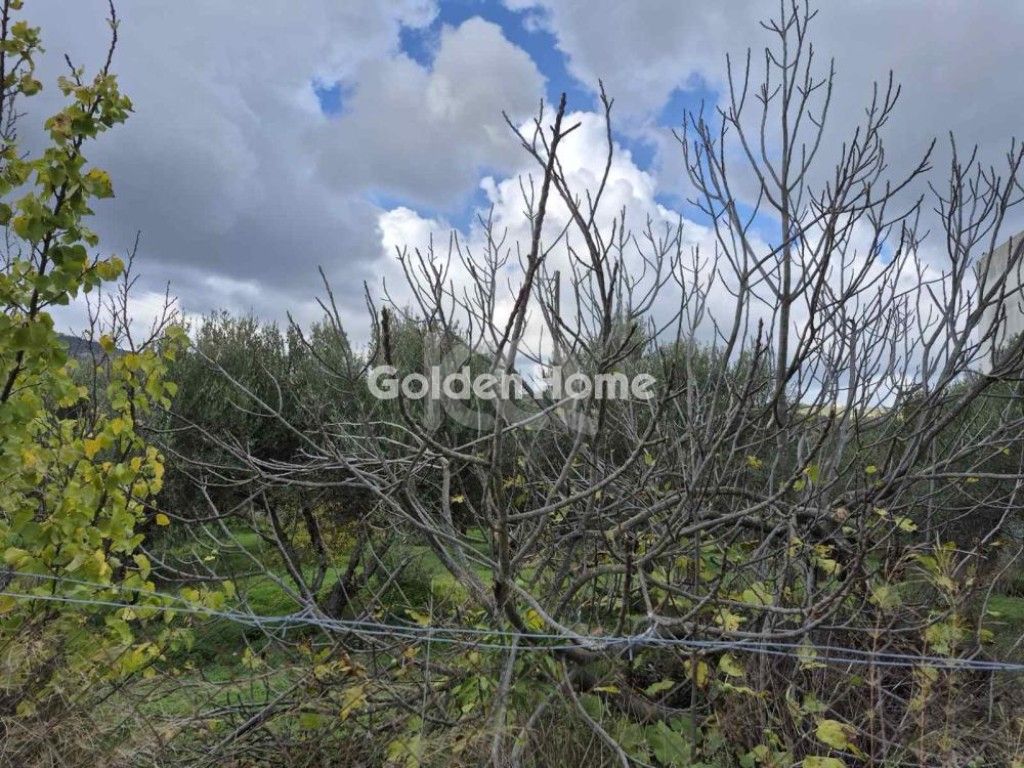 εικόνα αγγελίας