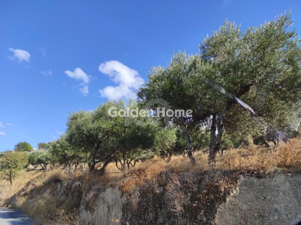 εικόνα αγγελίας