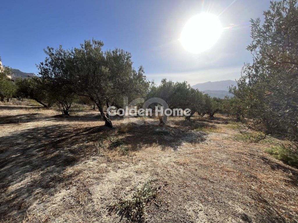 εικόνα αγγελίας