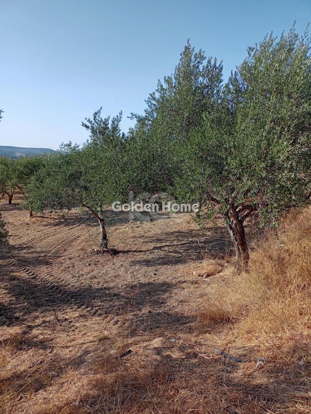 εικόνα αγγελίας