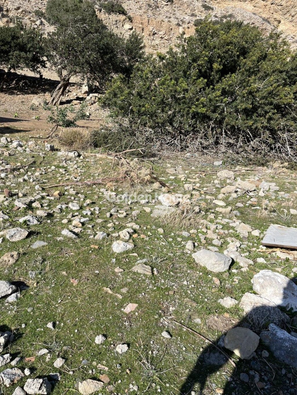 εικόνα αγγελίας