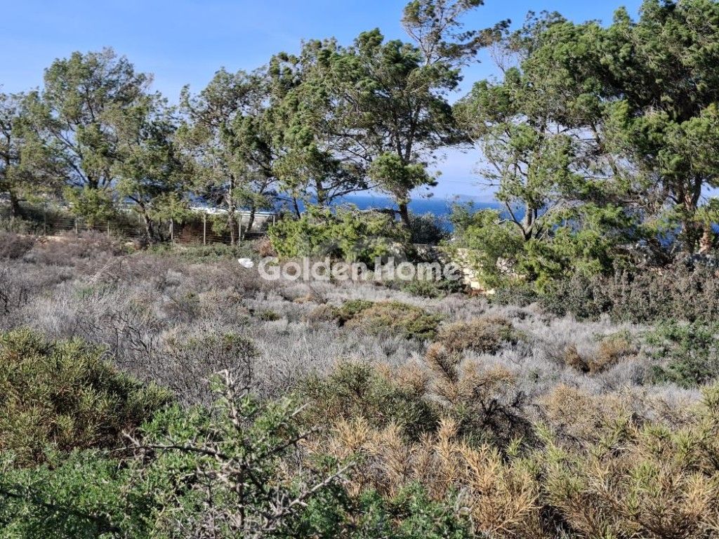 εικόνα αγγελίας