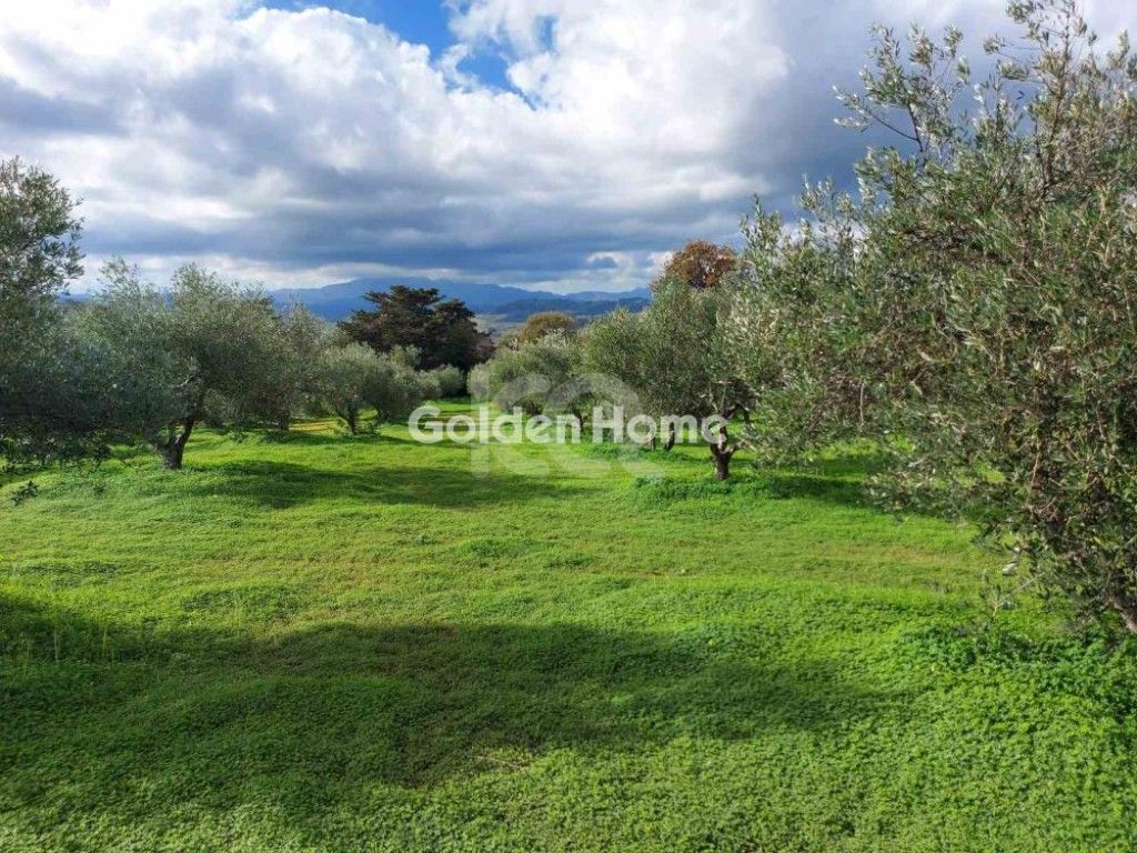 εικόνα αγγελίας