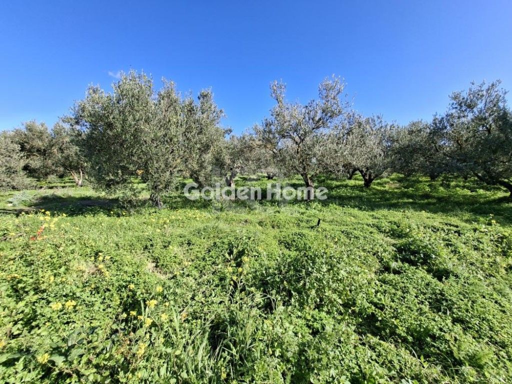 εικόνα αγγελίας