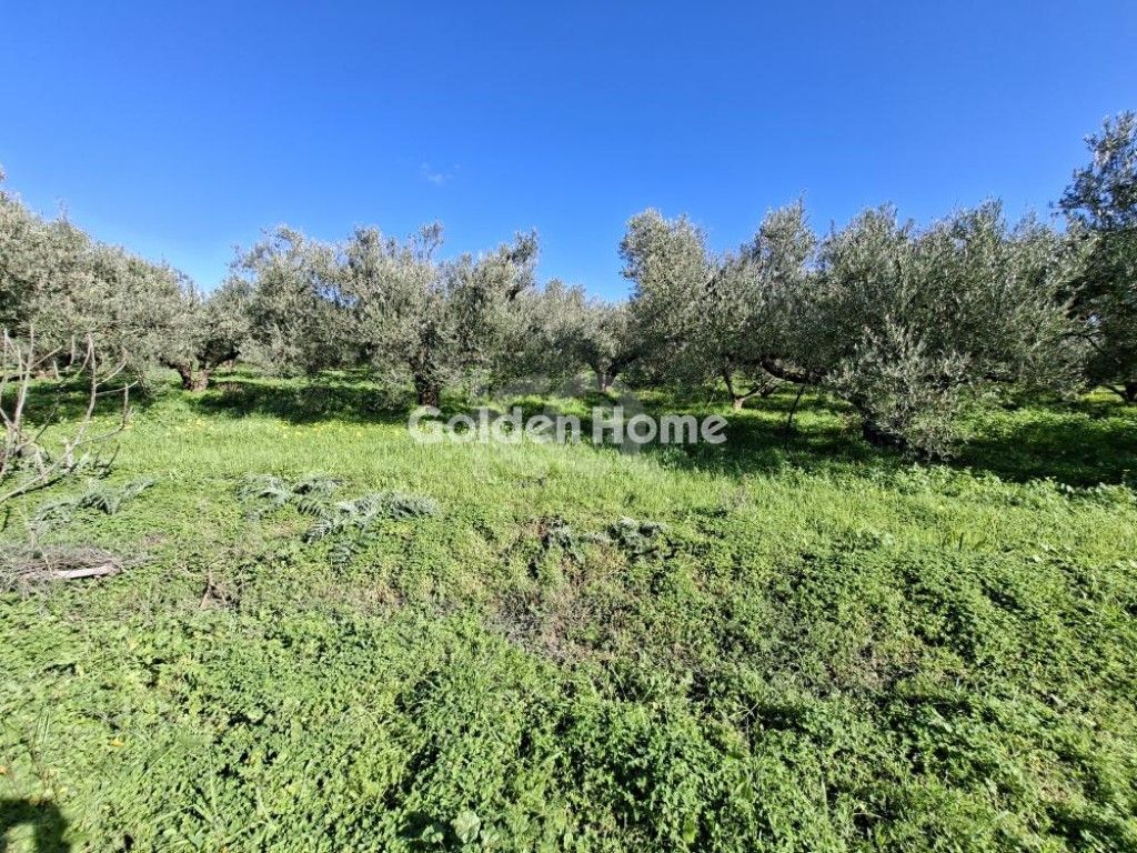 εικόνα αγγελίας