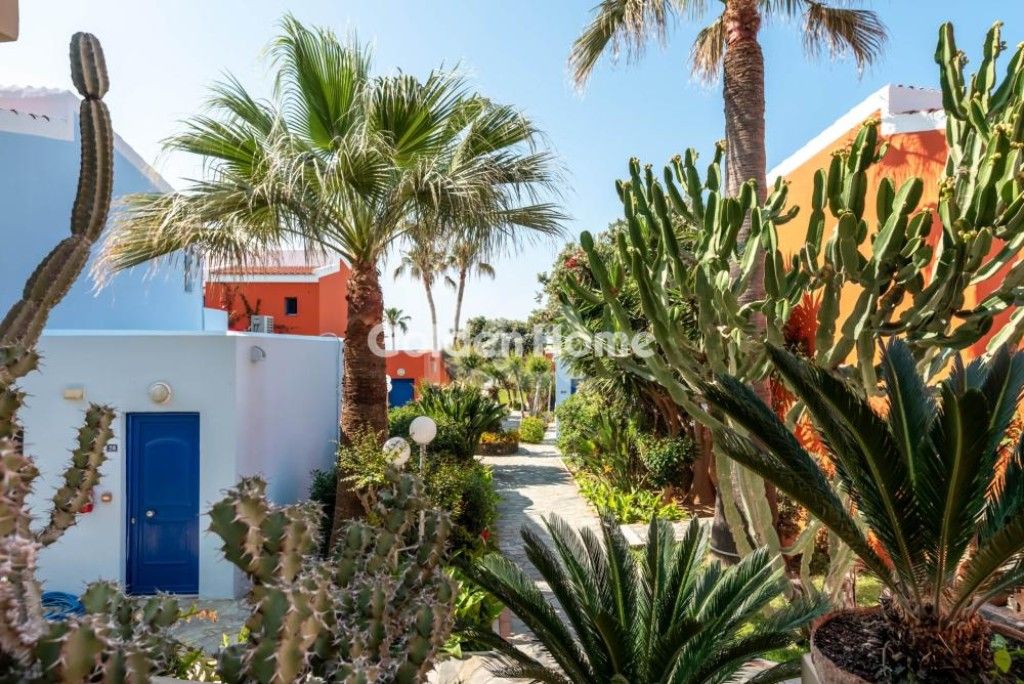 εικόνα αγγελίας