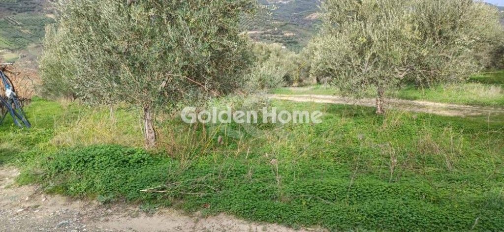 εικόνα αγγελίας