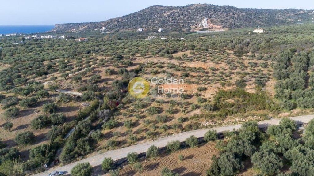 εικόνα αγγελίας