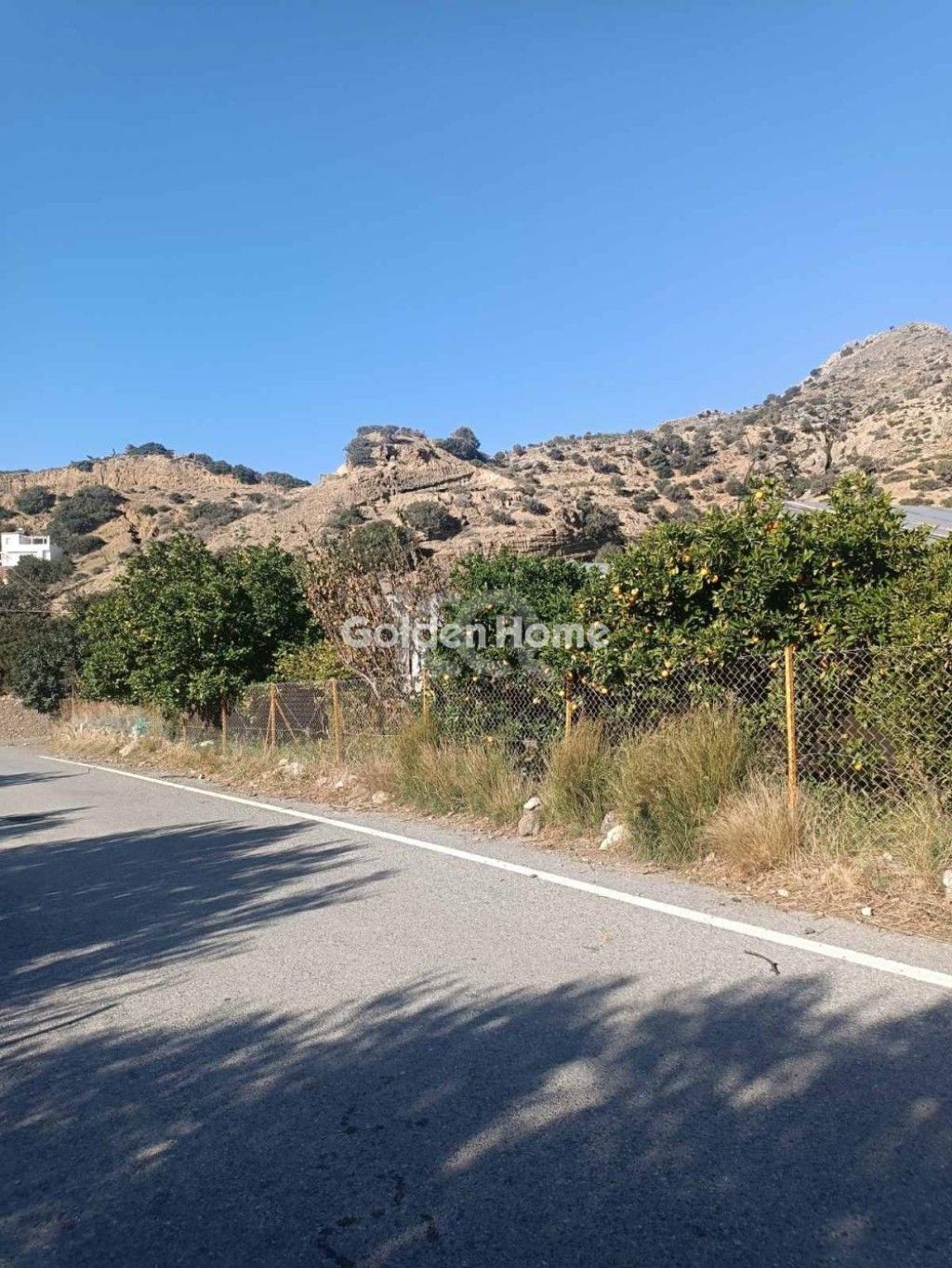 εικόνα αγγελίας