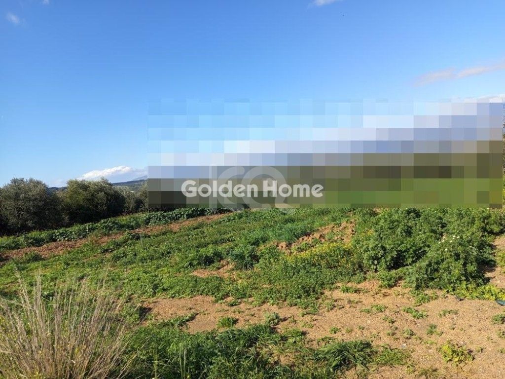 εικόνα αγγελίας