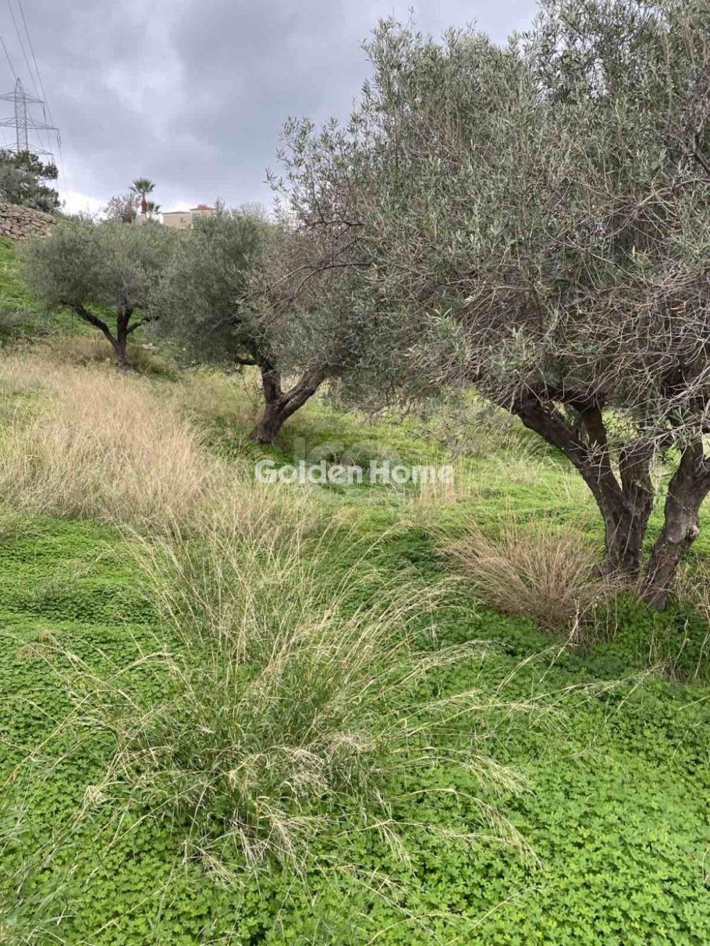 εικόνα αγγελίας