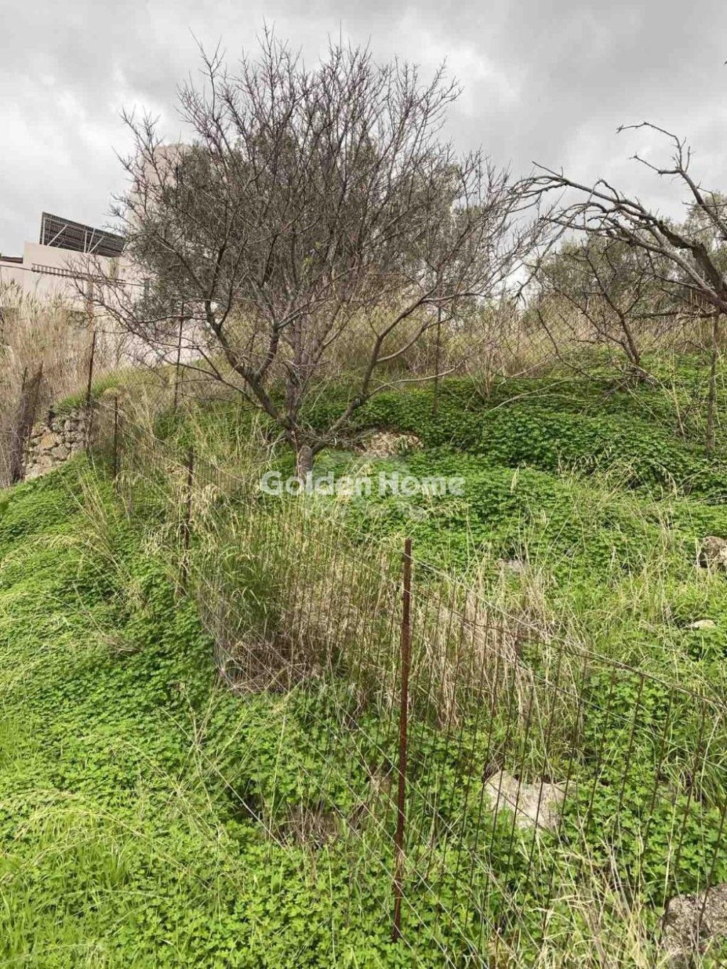 εικόνα αγγελίας