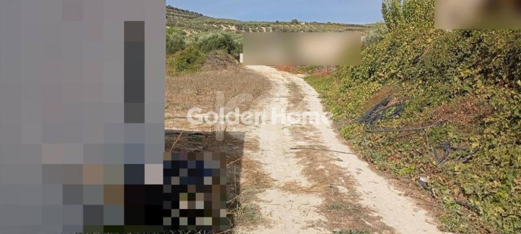 εικόνα αγγελίας