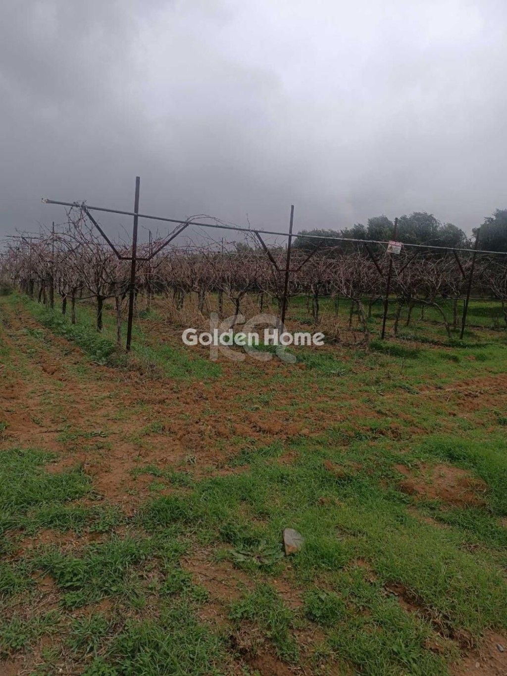 εικόνα αγγελίας