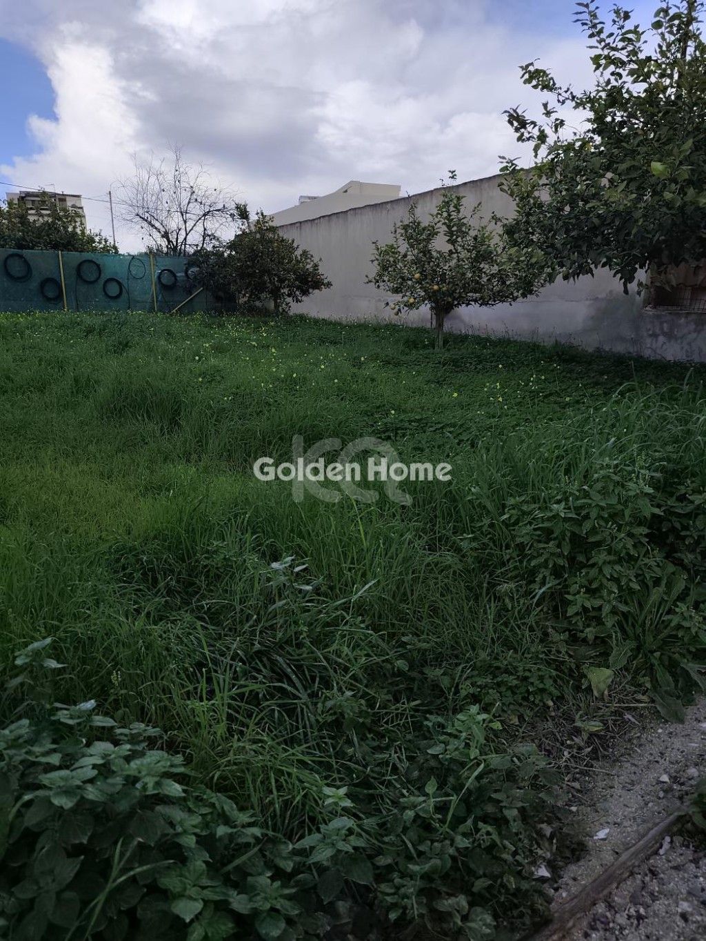 εικόνα αγγελίας