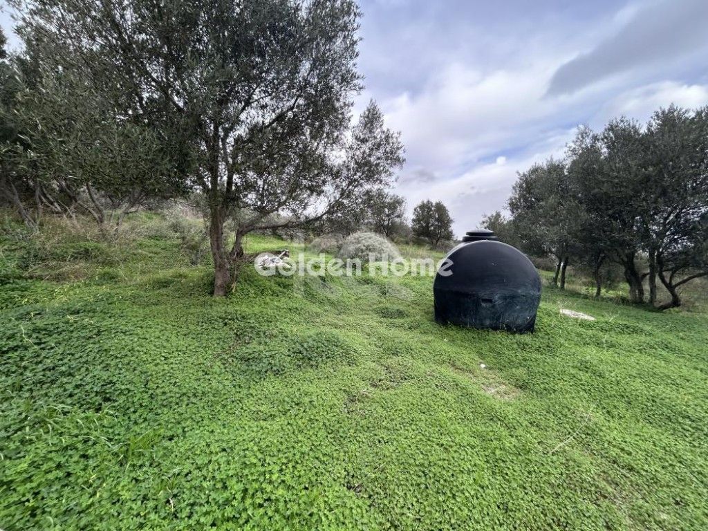 εικόνα αγγελίας