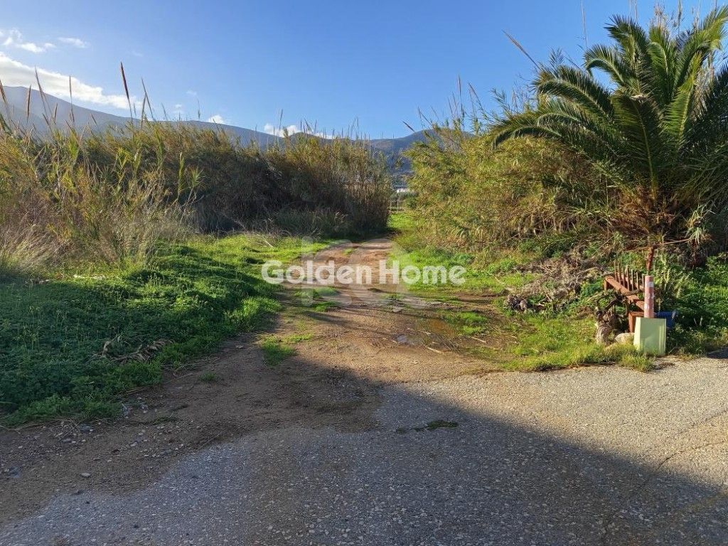 εικόνα αγγελίας