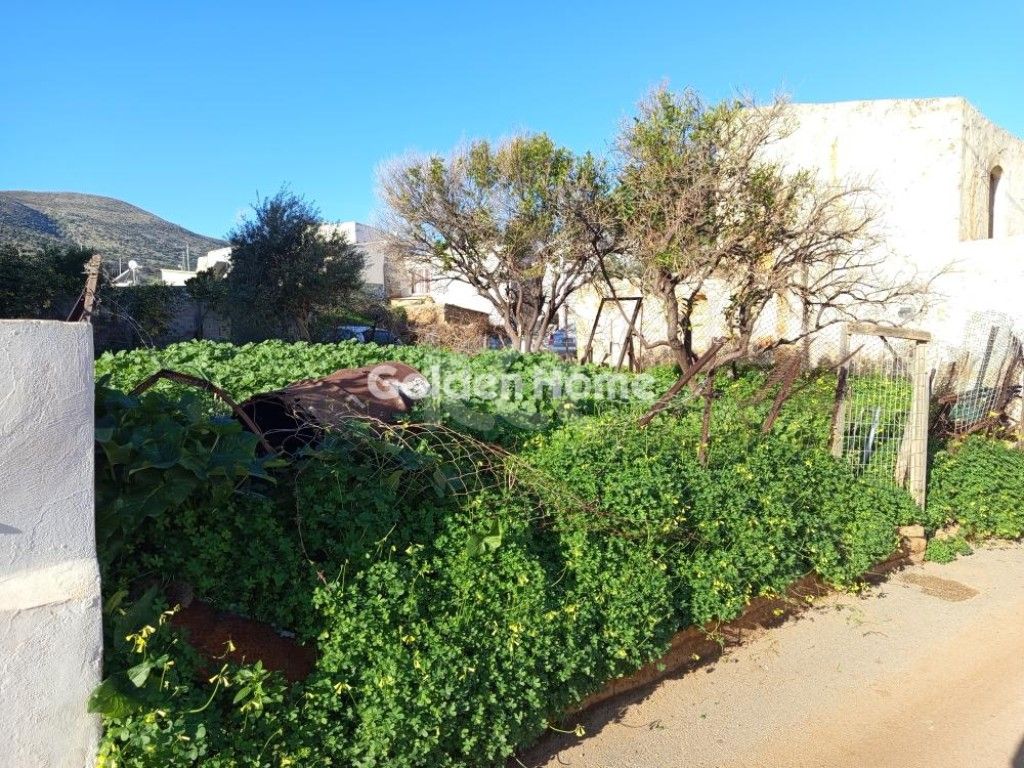 εικόνα αγγελίας