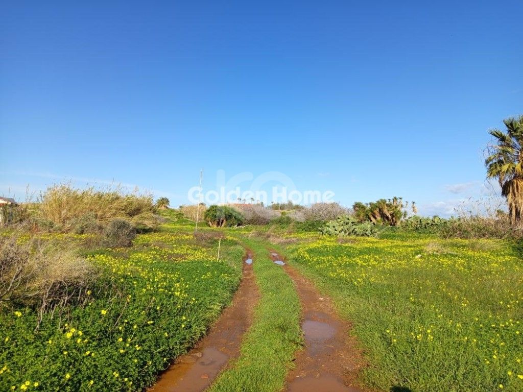 εικόνα αγγελίας