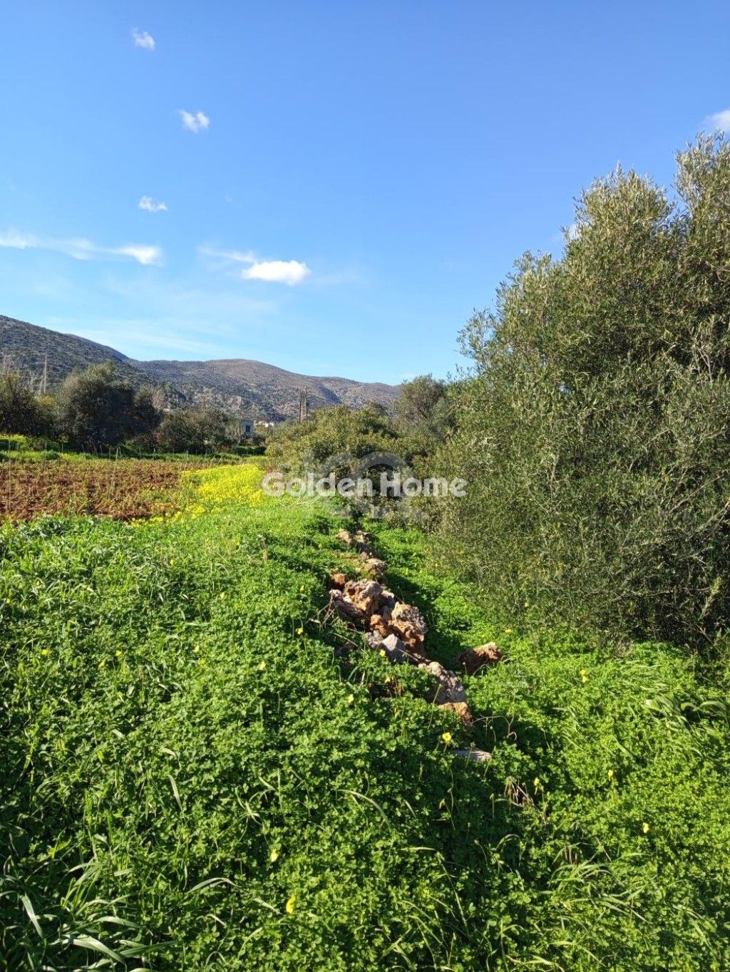 εικόνα αγγελίας