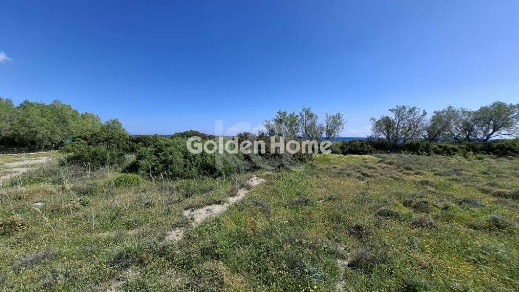 εικόνα αγγελίας