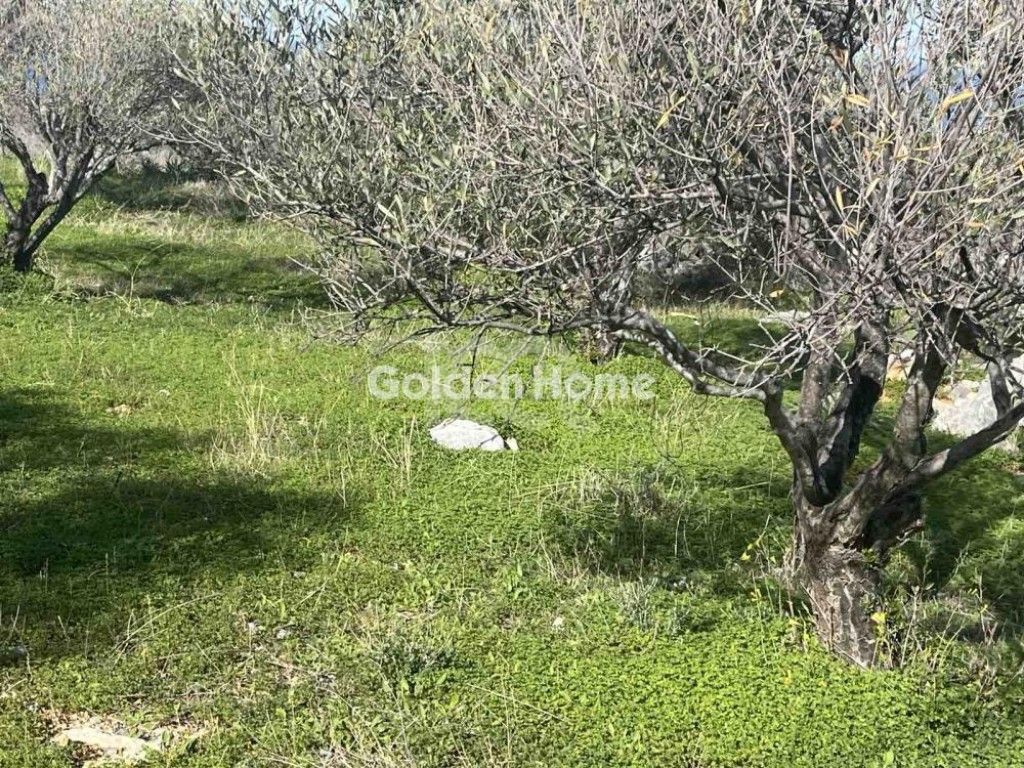 εικόνα αγγελίας