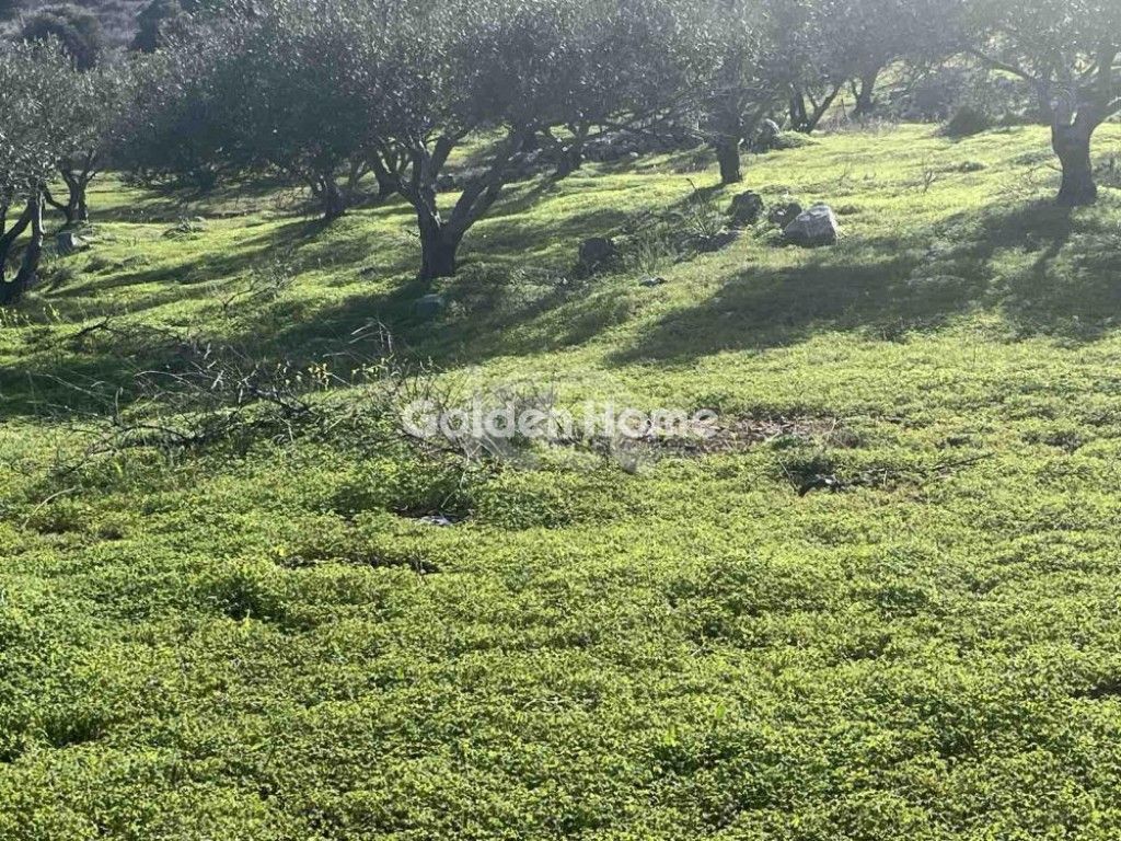 εικόνα αγγελίας