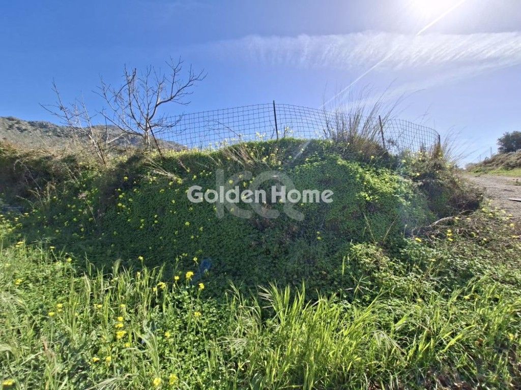 εικόνα αγγελίας