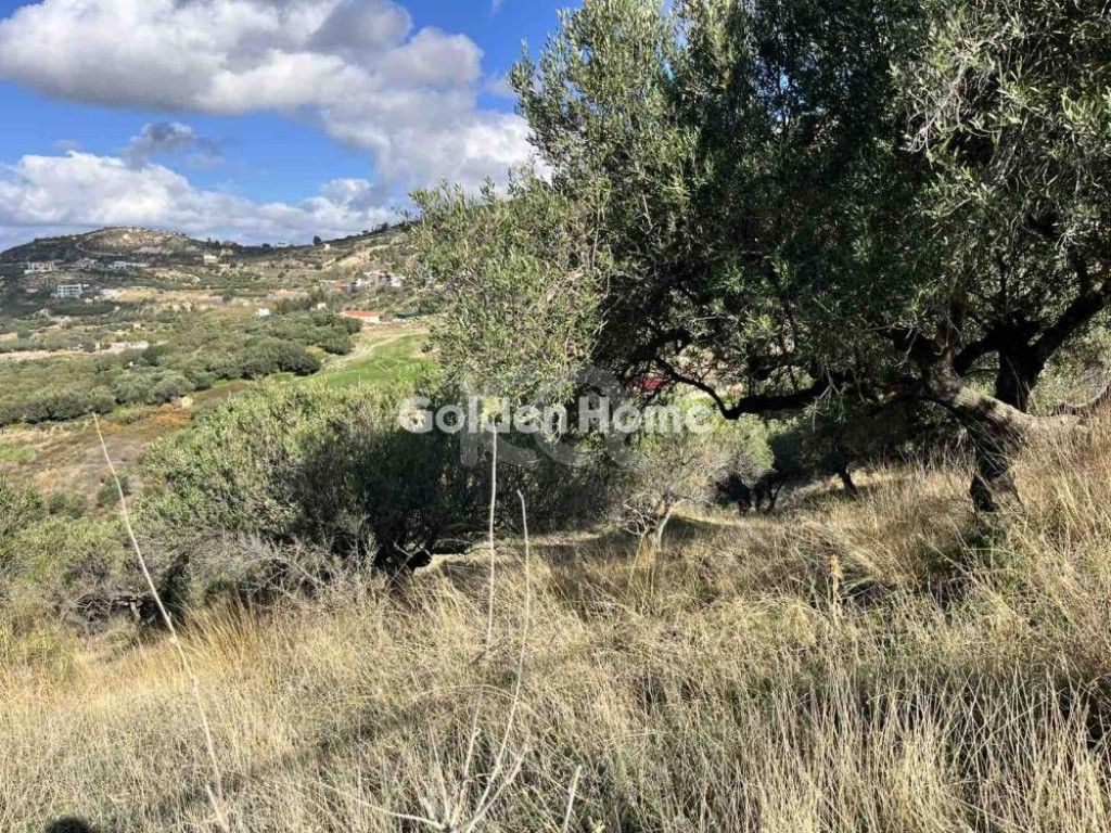 εικόνα αγγελίας