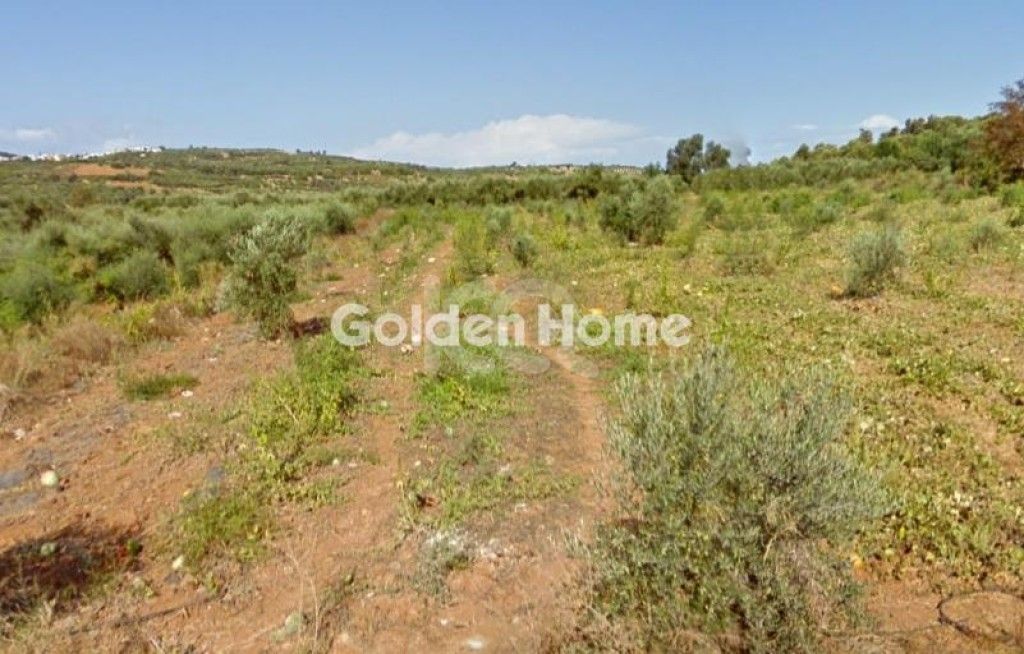 εικόνα αγγελίας