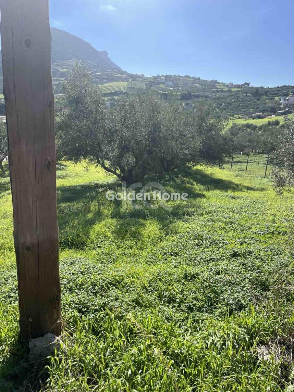 εικόνα αγγελίας