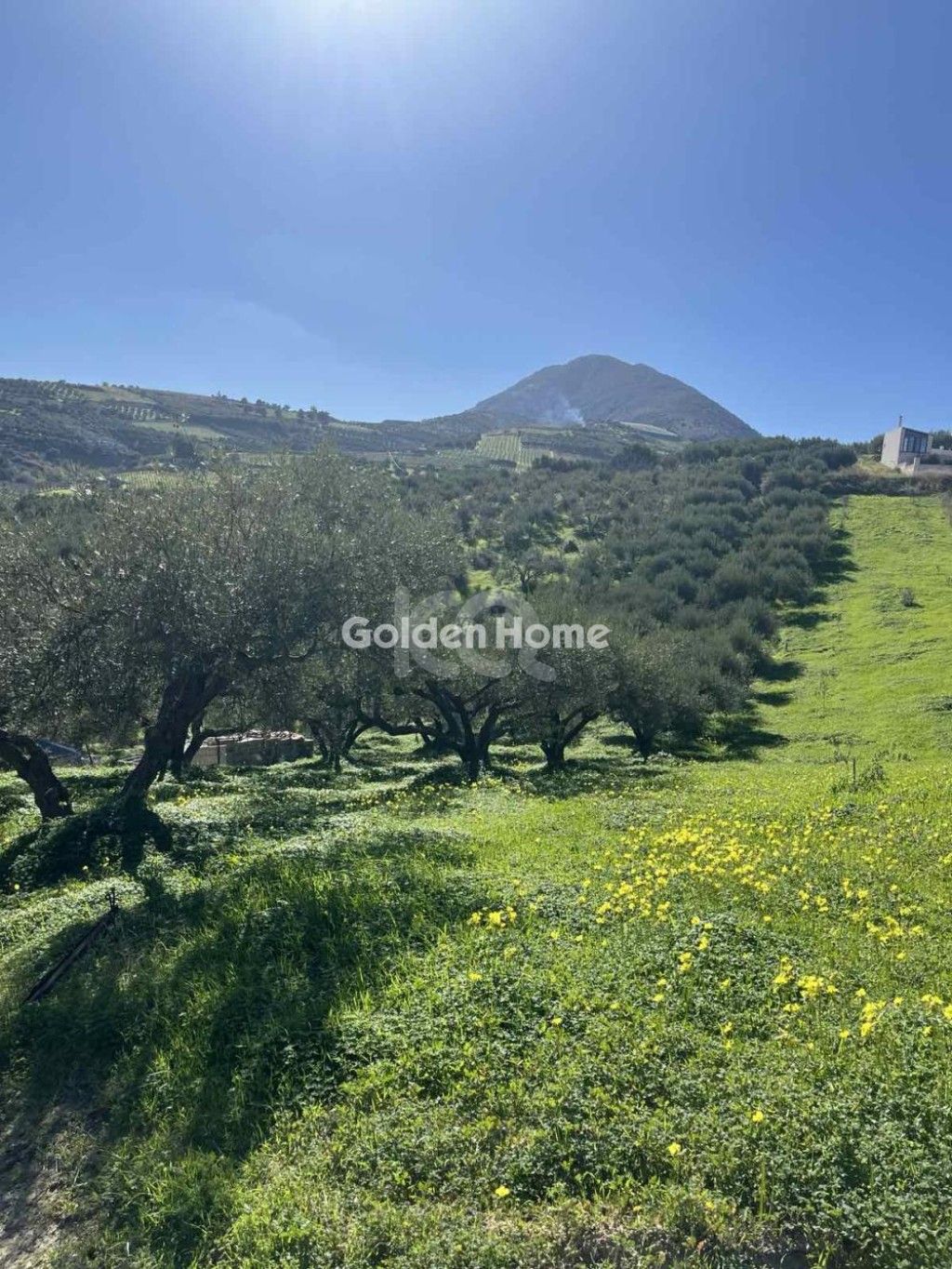 εικόνα αγγελίας