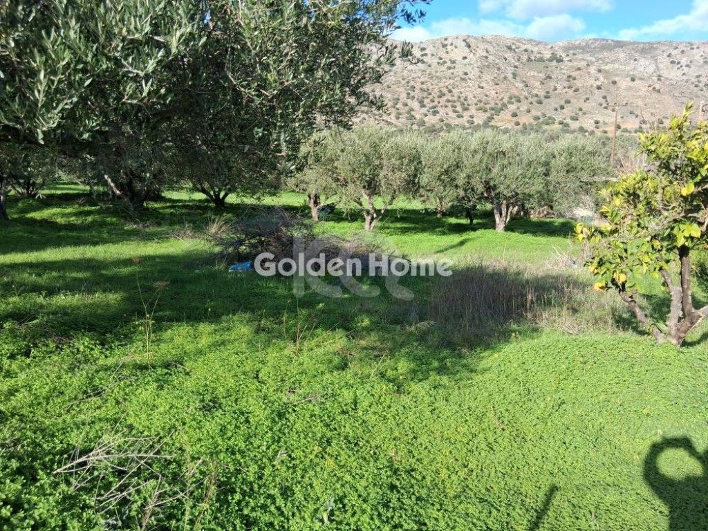 εικόνα αγγελίας