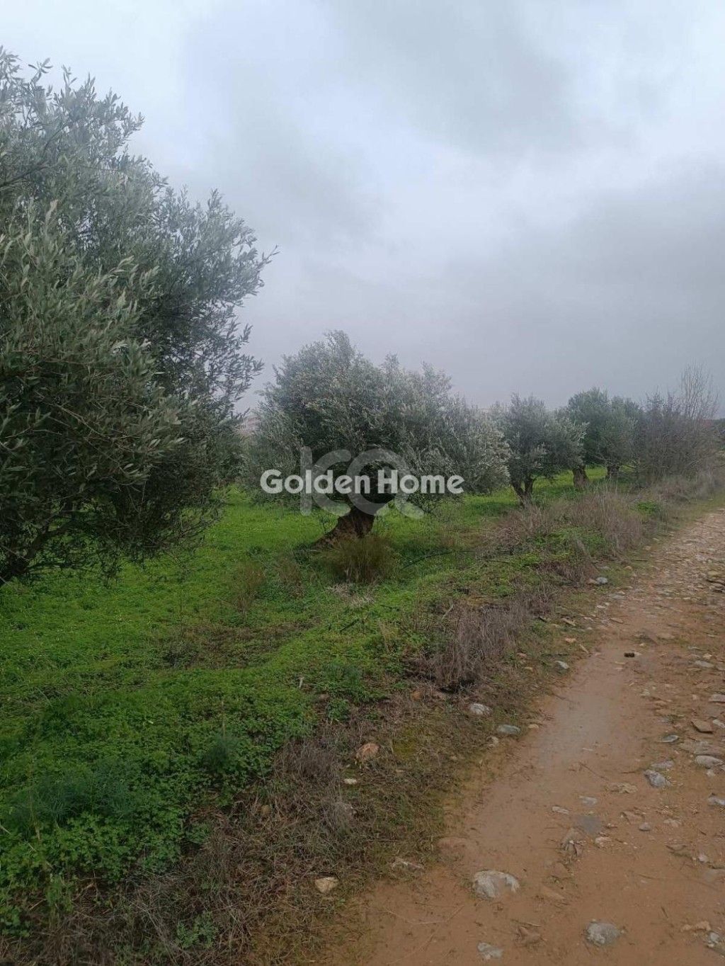 εικόνα αγγελίας