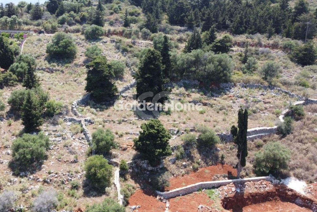 εικόνα αγγελίας